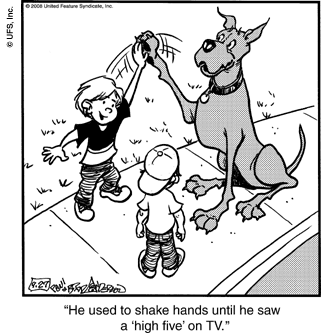 marmaduke